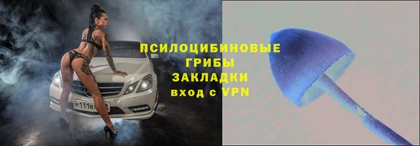 стаф Алексин