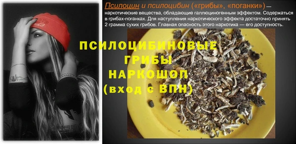 стаф Алексин