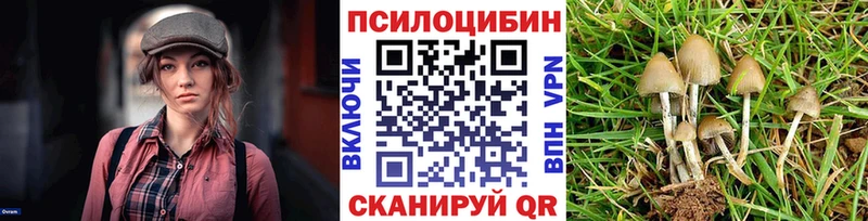 Псилоцибиновые грибы ЛСД  Чернушка 