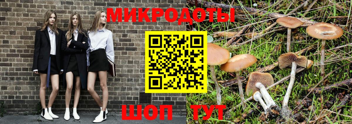 Галлюциногенные грибы прущие грибы  Псилоцибиновые грибы ЛСД  Вход с VPN  Чернушка 