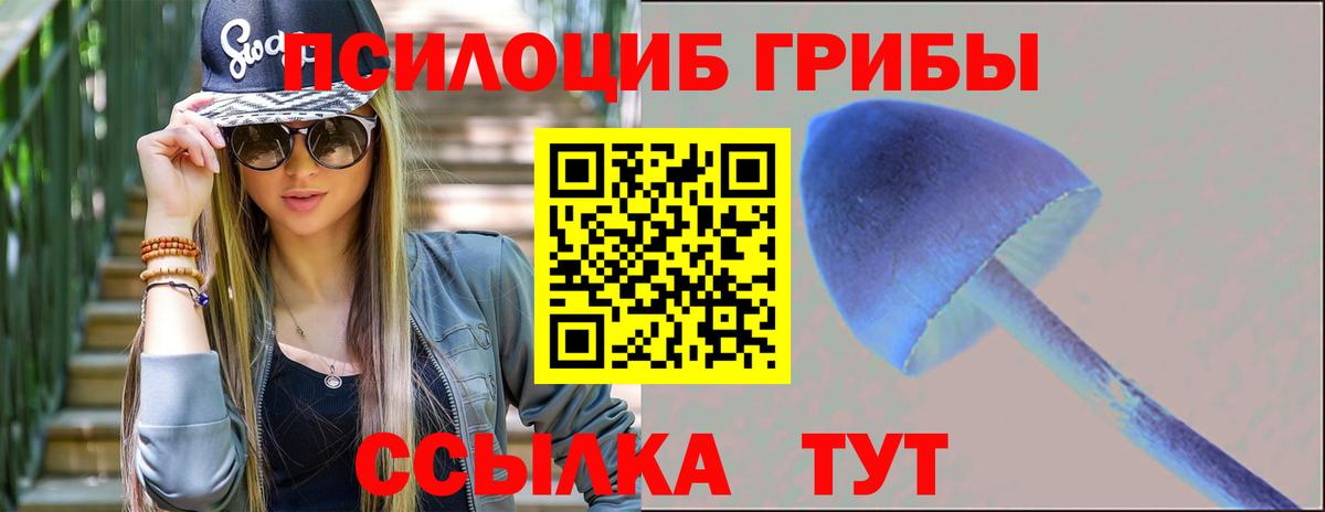 Псилоцибиновые грибы Psilocybine cubensis Чернушка
