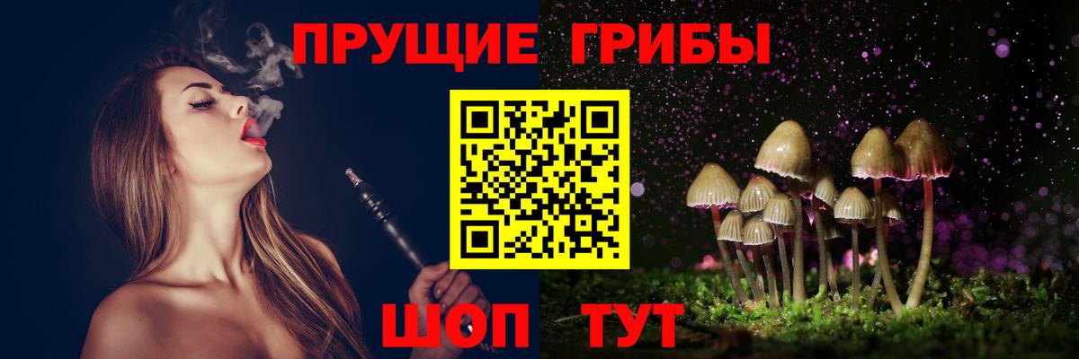 МЕФ Чернушка