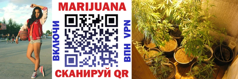 Шишки марихуана SATIVA & INDICA  как найти наркотики  Чернушка 